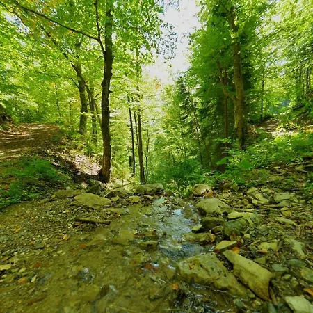 Jacobs 4 Bedroom Private House * Kranjska Gora